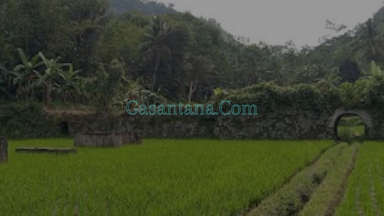Abah Anton Charliyan Bersama Tim Gasantana Telusuri Jejak Benteng Pertahanan Jepang di Cireunghas, Sukabumi
