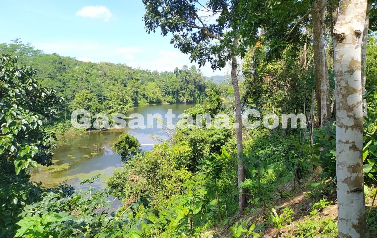 Jejak Sejarah di Situs Telaga Denuh Tasikmalaya | Telaga Sunyi yang Menyimpan Kisah Peradaban Klasik di Priangan Timur